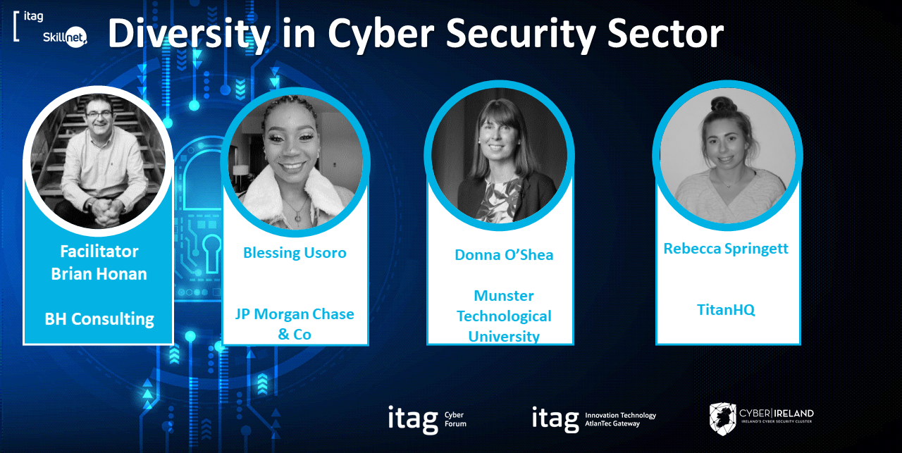 Diversity in Cyber Security